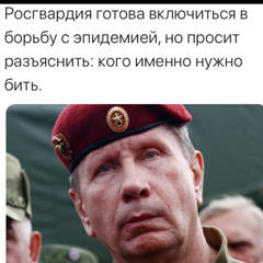 http://images.vfl.ru/ii/1584282305/ff229faf/29880087.jpg