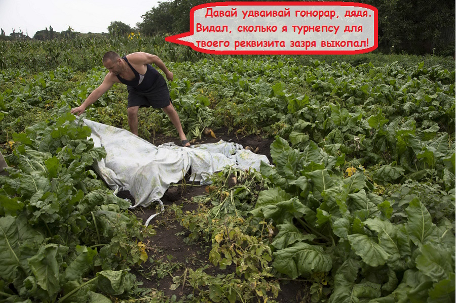 https://i8.imageban.ru/out/2025/06/21/c3b9c9cf657b05c21648756119c24b92.jpg