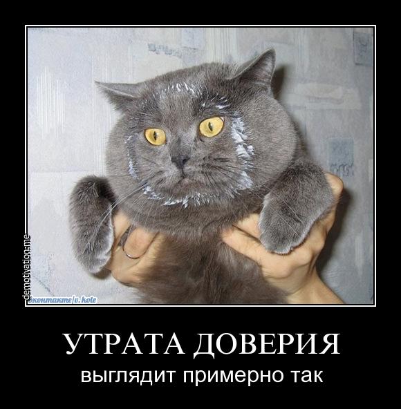 http://images.vfl.ru/ii/1507308914/09a245bc/18888828.jpg