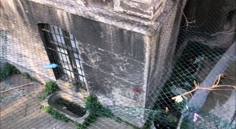 http://images.vfl.ru/ii/1527076555/43ad01b2/21856640_m.jpg