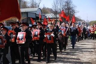 http://images.vfl.ru/ii/1556523774/d6812888/26357202.jpg