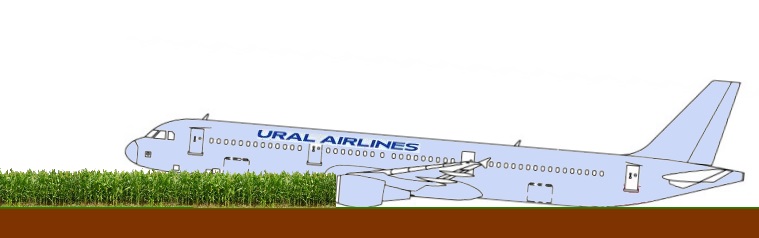 http://images.vfl.ru/ii/1566430011/1ce8dd0c/27615701.jpg