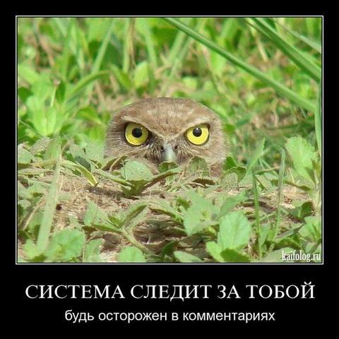 http://images.vfl.ru/ii/1492808092/2b01337e/16949884_m.jpg