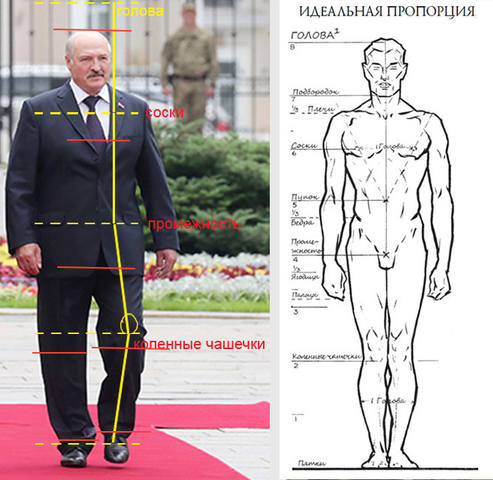 http://images.vfl.ru/ii/1506093233/39358619/18698880_m.jpg