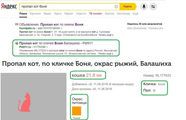 http://images.vfl.ru/ii/1548765692/7a0be7db/25160416_m.jpg