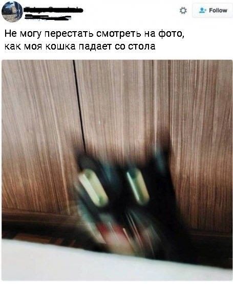http://images.vfl.ru/ii/1505727055/25fbcbfe/18644992.jpg