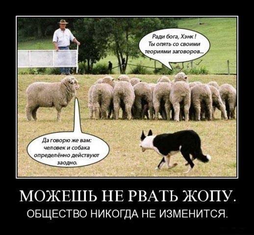 http://images.vfl.ru/ii/1414334694/27388955/6756884_m.jpg