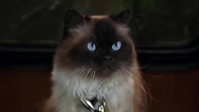 http://images.vfl.ru/ii/1529140494/5d47c327/22133499_m.jpg