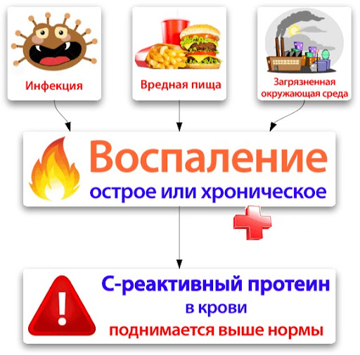 https://i.ibb.co/9rMzvMz/unnamed.jpg