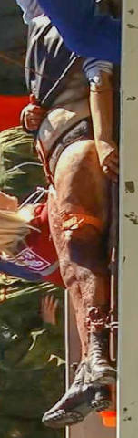 http://images.vfl.ru/ii/1542292831/5ed0937b/24206991_m.jpg