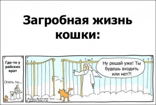 https://e.radikal.host/2025/08/07/1459269154_komiksy9d18c1c8cfb48765.jpg