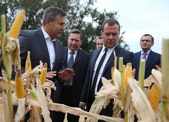 http://images.vfl.ru/ii/1566039653/802bda75/27568497_m.jpg