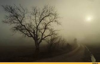 http://images.vfl.ru/ii/1502800348/9d5320d5/18255981_m.jpg