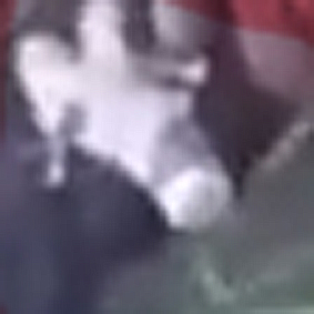 https://i.ibb.co/v39S0xH/4.jpg