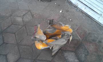 http://se.uploads.ru/t/B9fNQ.jpg