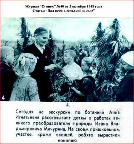 http://aftershock.news/sites/default/files/u2480/2533_original.jpg