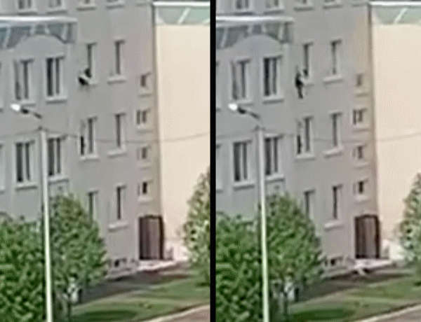 http://images.vfl.ru/ii/1622443335/b86bafb2/34648155.gif