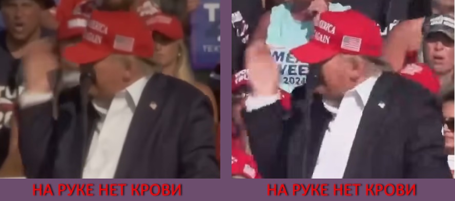 https://i.imgur.com/ah4RVOh.jpeg