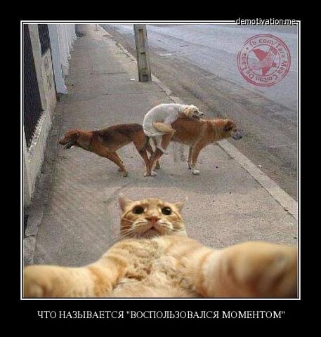 http://images.vfl.ru/ii/1511300114/f4bbe755/19518463.jpg