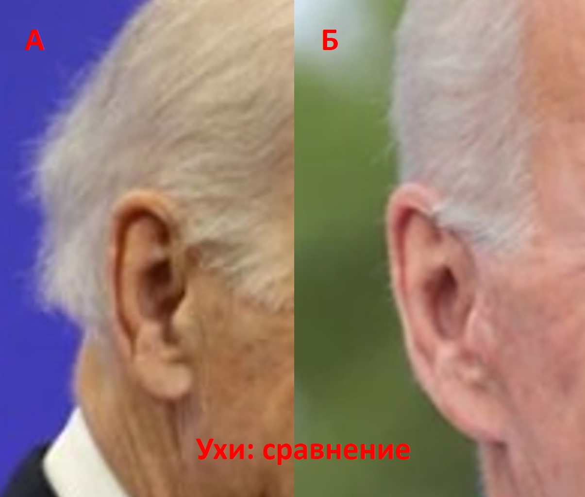 http://images.vfl.ru/ii/1604830656/ed9c032c/32224795.jpg