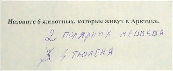 http://images.vfl.ru/ii/1493364491/df954535/17027876.jpg