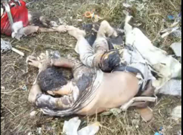 http://images.vfl.ru/ii/1402812081/0ddaac03/5430991.jpg