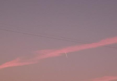 http://images.vfl.ru/ii/1556242576/8385b6f0/26322898.jpg