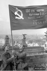 http://images.vfl.ru/ii/1526219545/a63c514e/21725801_m.jpg