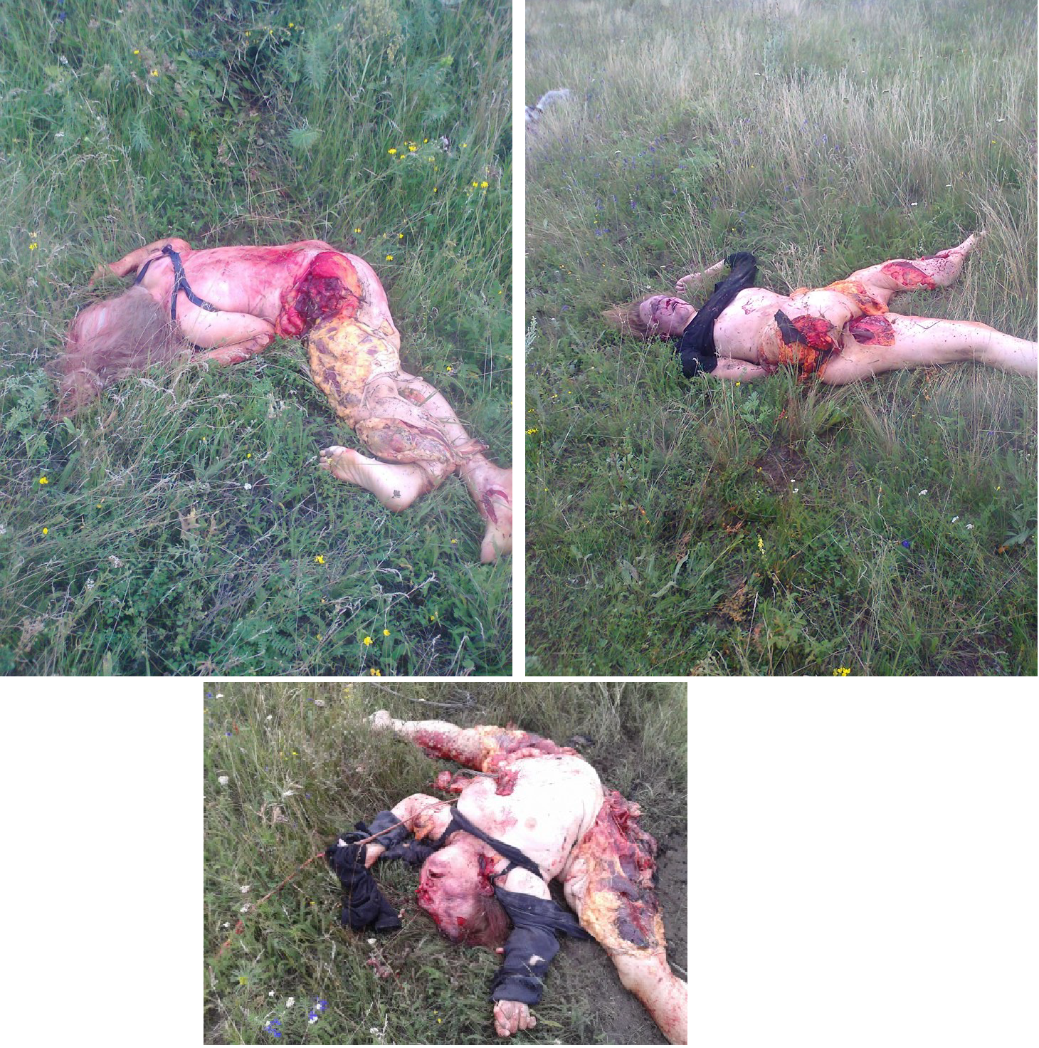 http://images.vfl.ru/ii/1414097489/de83a490/6731701.png