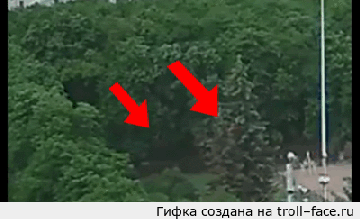 http://se.uploads.ru/t/BvXrj.gif