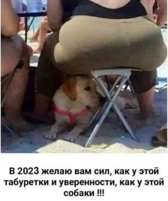 https://i.imgur.com/MKugCdF.jpg