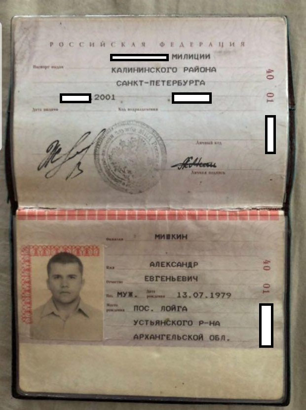 https://theins.ru/wp-content/uploads/2018/10/pasport3-1.jpg