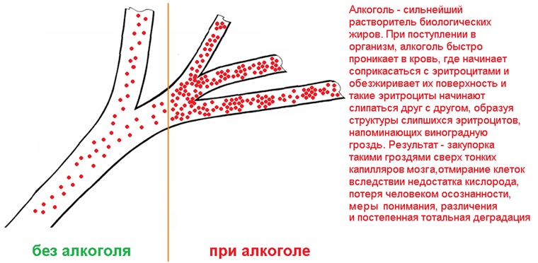 https://forumstatic.ru/files/0017/52/02/85792.png