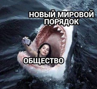 https://i.imgur.com/sKTa8TOm.jpg