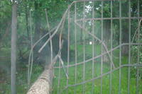 http://images.vfl.ru/ii/1496176801/50b03b98/17406488_s.jpg