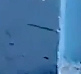 http://s6.uploads.ru/t/MF8Sz.png