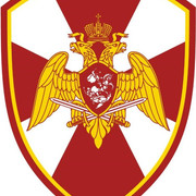 https://i.ibb.co/QCGCt9w/image.jpg