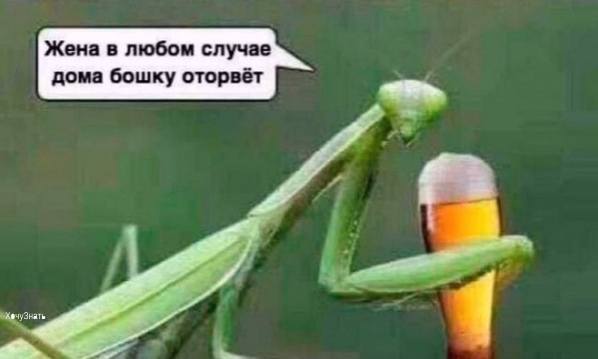 http://images.vfl.ru/ii/1573476425/cf52d908/28523457_m.jpg