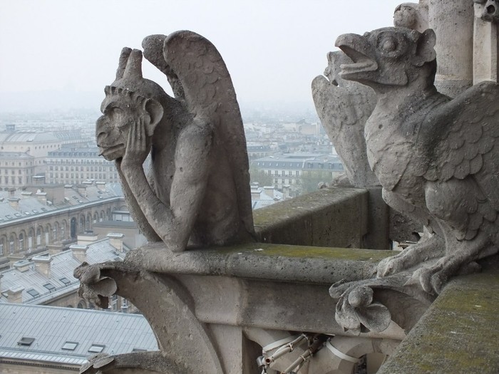 http://images.vfl.ru/ii/1555454153/98622bce/26216070.jpg