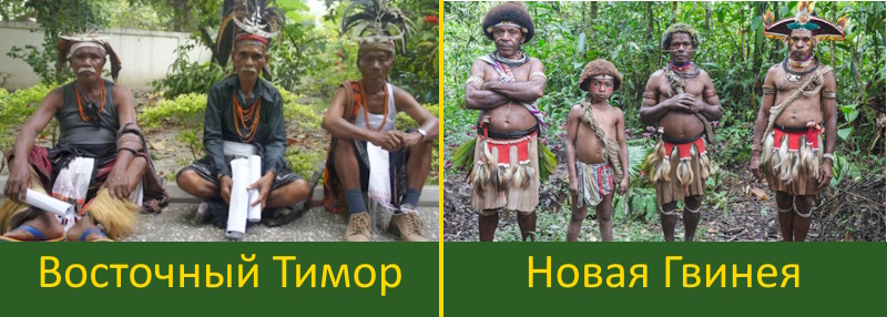 https://i1.imageban.ru/out/2025/03/28/87c9e61629219a49d39a7a7e3f37f333.jpg