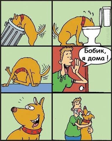 http://images.vfl.ru/ii/1517086568/e783be5f/20335749_m.jpg