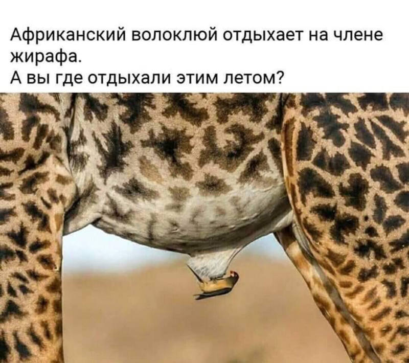 https://i.imgur.com/5KI7bus.jpg