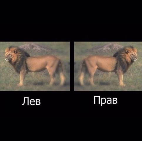 http://images.vfl.ru/ii/1566480555/57f5c70a/27621804_m.jpg