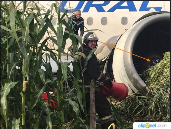 http://images.vfl.ru/ii/1566571391/ec7ab813/27633694.jpg