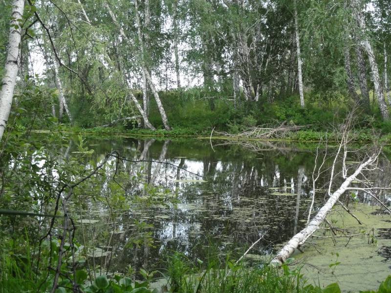 http://images.vfl.ru/ii/1512816676/706fc30d/19744387_m.jpg