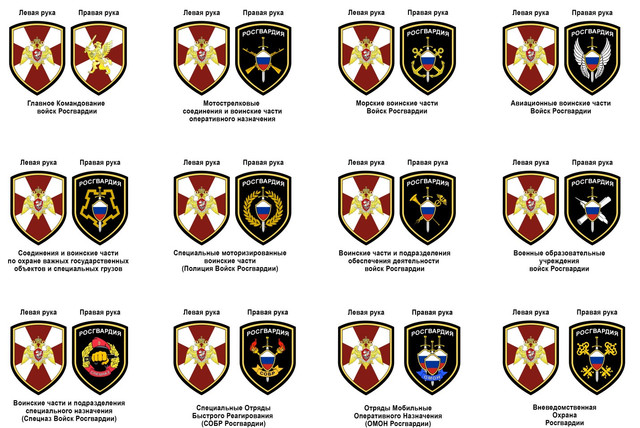 https://i.ibb.co/37yR1Bf/shevrony-rosgvardii-3.jpg