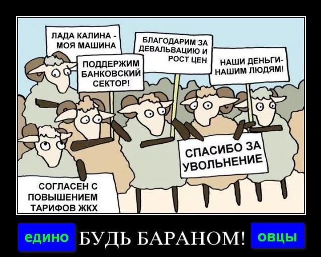 http://images.vfl.ru/ii/1546426777/e034af14/24796411.jpg