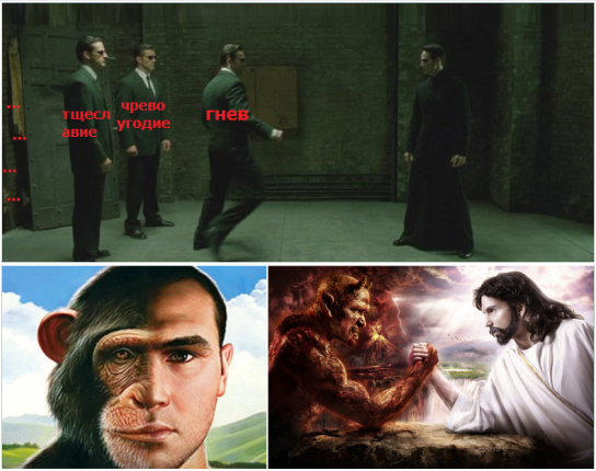 https://i.ibb.co/ysJKY6D/870965.png