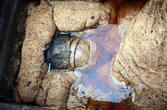 http://images.vfl.ru/ii/1416699379/4f1bc57c/7026694_m.jpg