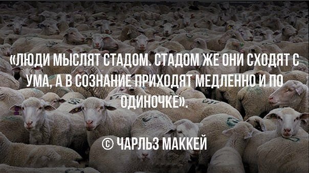 http://images.vfl.ru/ii/1595398139/421a2231/31134703.jpg